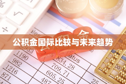 永登公积金国际比较与未来趋势