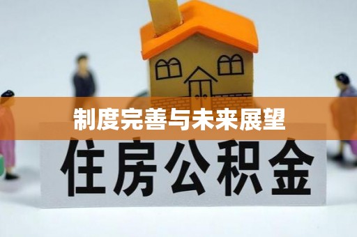 永登制度完善与未来展望
