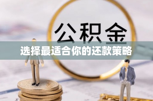 永登选择最适合你的还款策略